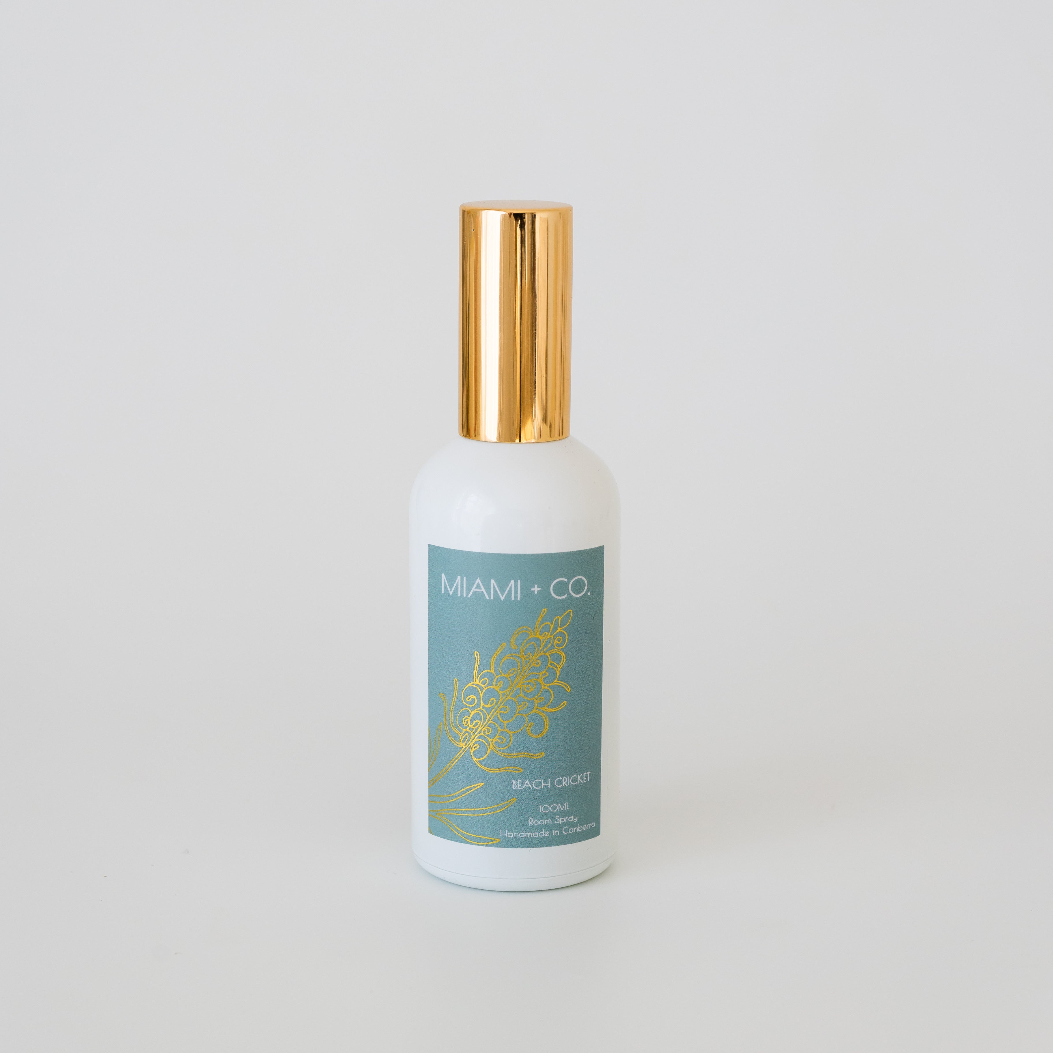 Beach Cricket - Home Spray